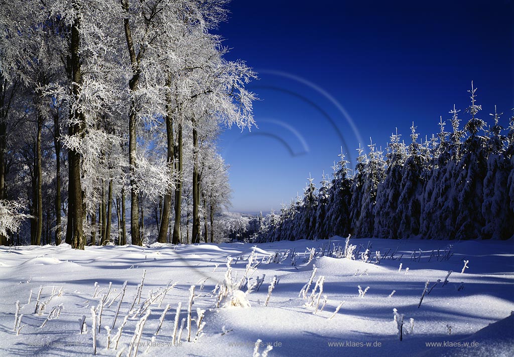 Heiligenborn, Eisenstrasse, Kreis Siegen-Wittgenstein, Siegerland, Blick auf Winterlandschaft