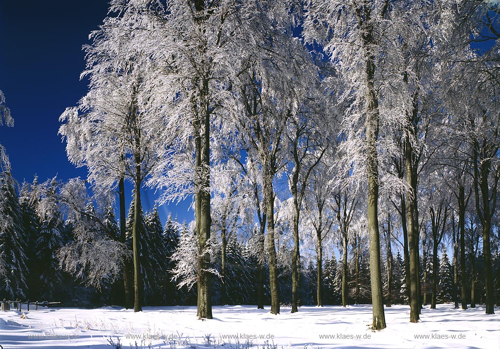 Heiligenborn, Eisenstrasse, Kreis Siegen-Wittgenstein, Siegerland, Blick auf Winterlandschaft