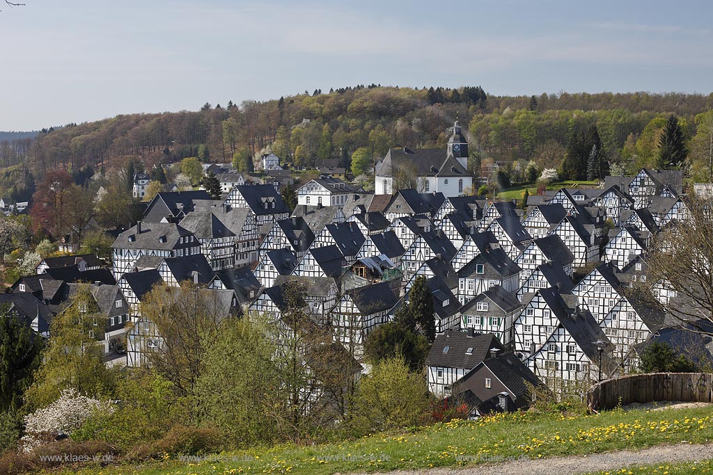 Freudenberg Fotoblick zum Alten Flecken, dem  historischen Ortskern mit dutzenden Fachwerkhaeuser, dahinter die Pfarrkirche im Fruehling; Freudenberg oldtown with historical framework houses im Fruehling