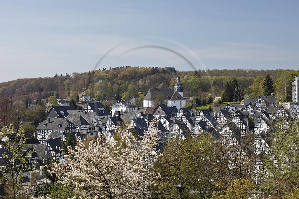 Freudenberg Fotoblick zum Alten Flecken, dem  historischen Ortskern mit dutzenden Fachwerkhaeuser, dahinter die Pfarrkirche im Fruehling; Freudenberg oldtown with historical framework houses im Fruehling