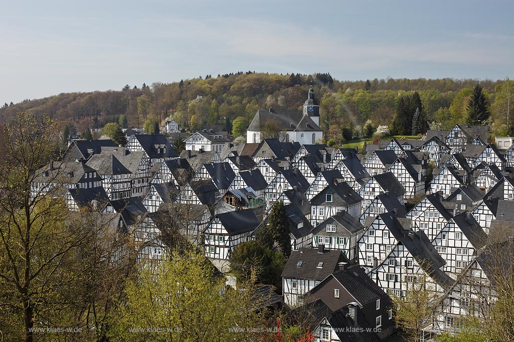 Freudenberg Fotoblick zum Alten Flecken, dem  historischen Ortskern mit dutzenden Fachwerkhaeuser, dahinter die Pfarrkirche im Fruehling; Freudenberg oldtown with historical framework houses im Fruehling