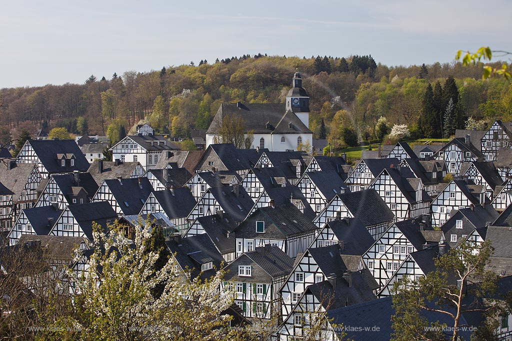 Freudenberg Fotoblick zum Alten Flecken, dem  historischen Ortskern mit dutzenden Fachwerkhaeuser, dahinter die Pfarrkirche im Fruehling; Freudenberg oldtown with historical framework houses im Fruehling