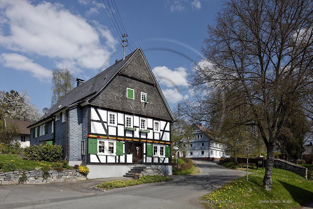 Freudenberg Oberhoklzklau, Pfarrhaus, das aelteste Fachwerkhaus des Siegerlandes, von 1608 im Fruehling; Freudenberg Oberholzklau, the oldes framework house in the Siegerland,  from 1608 