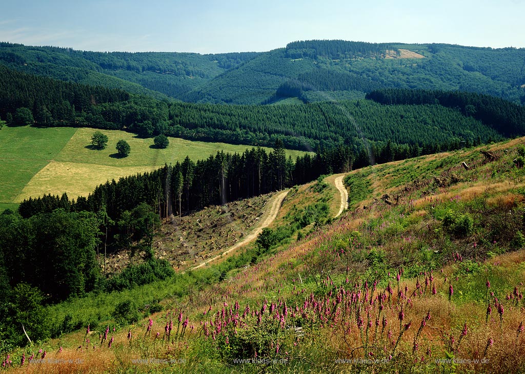 Gillertal, Rothaargebirge, Siegerland, Blick ins Gillertal auf Natur und Landschaft