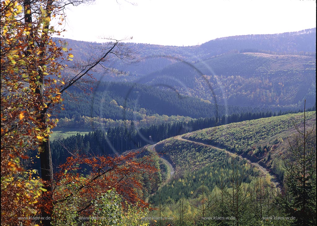 Gillertal, Rothaargebirge, Siegerland, Blick ins Gillertal auf Natur und Landschaft