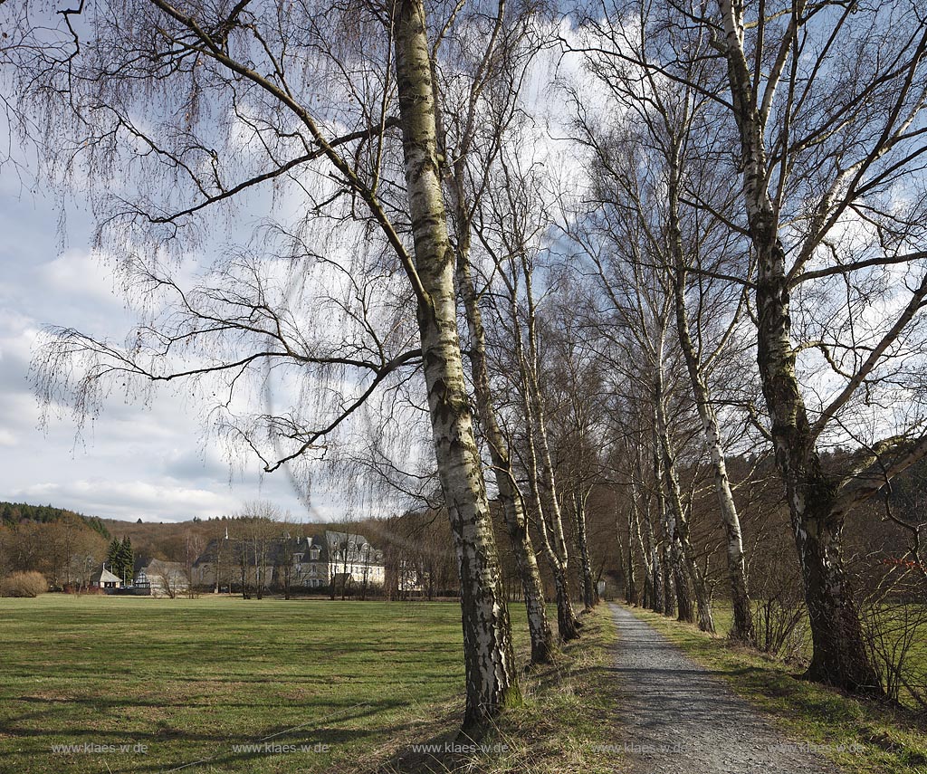 Hilchenbach Alllenbach, Blick mit Birkenallee zum ehemaligen Stift Keppel, heute Tagungsgebaeude; Hilchenbach view to former cloister Keppel with birch tree alley