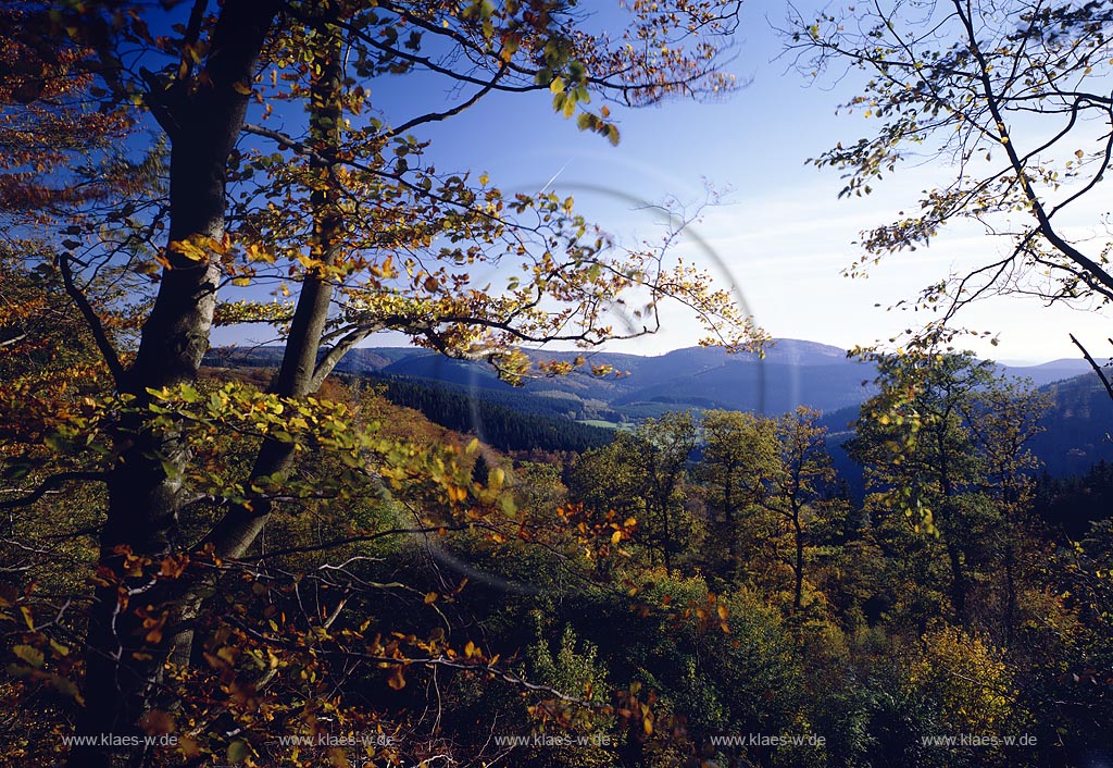 Luetzel, Ltzel, Hilchenbach, Kreis Siegen-Wittgenstein, Siegerland, Blick in Gillertal auf Natur und Landschaft im Herbst