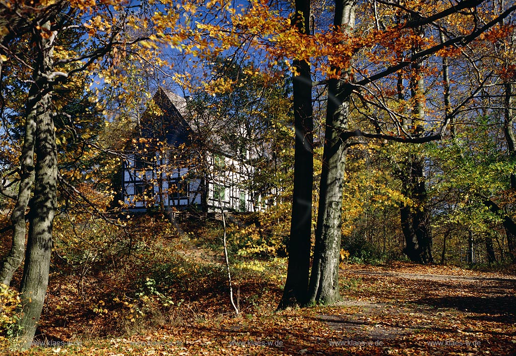 Luetzel, Ltzel, Hilchenbach, Kreis Siegen-Wittgenstein, Siegerland, Blick auf Herbstlandschaft an der Ginsburg