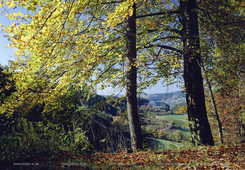 Oberndorf, Hilchenbach, Kreis Siegen-Wittgenstein, Siegerland, Blick von Oberndorfer Hoehe, Hhe auf Herbstlandschaft und Ort 