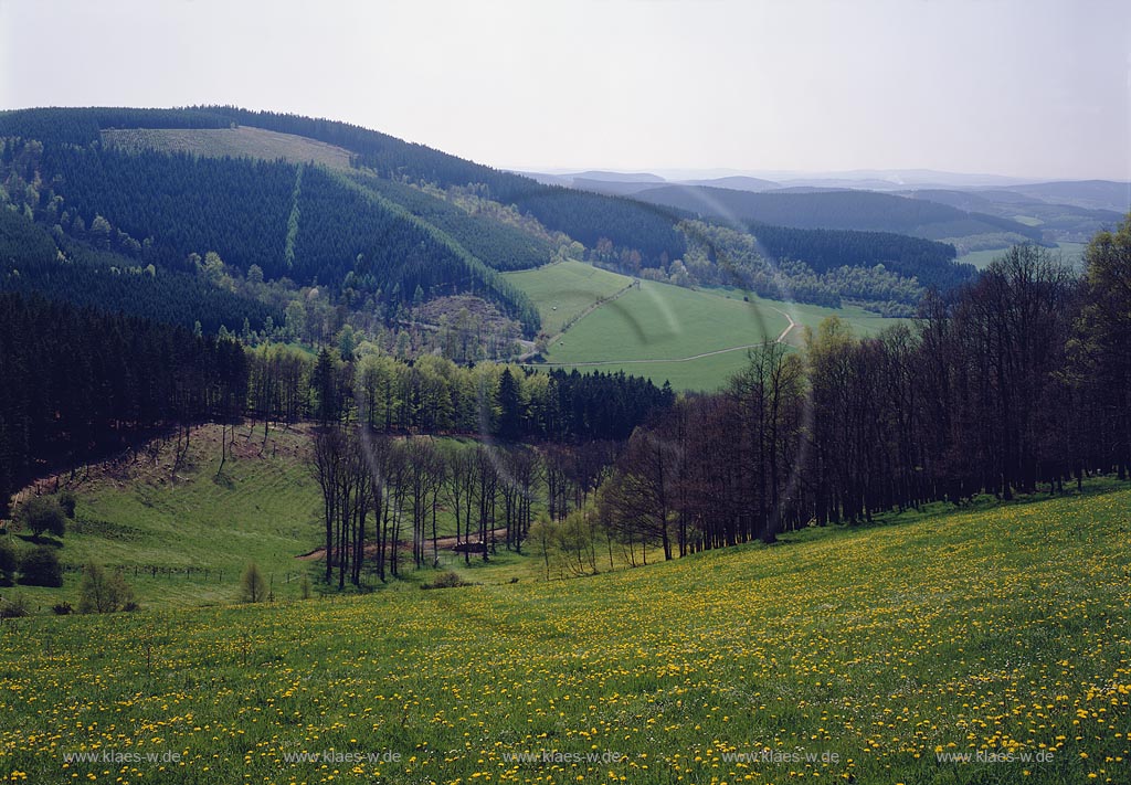 Oberndorf, Hilchenbach, Kreis Siegen-Wittgenstein, Siegerland, Blick von Oberndorfer Hoehe, Hhe auf Natur und Landschaft