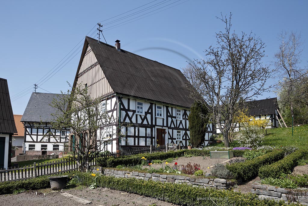 Hilchenbach Oechelhausen, Fachwerk Bauernhaus, Bauernhof mit Bauerngarten im Fruehling; Hilchenbach oechelhausen, half timbered framework farm house in springtime