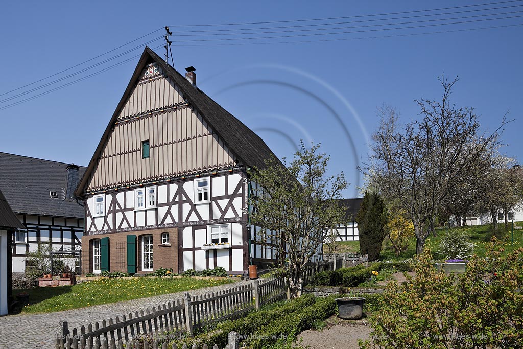 Hilchenbach Oechelhausen, Fachwerk Bauernhaus, Bauernhof mit Bauerngarten im Fruehling; Hilchenbach oechelhausen, half timbered framework farm house in springtime