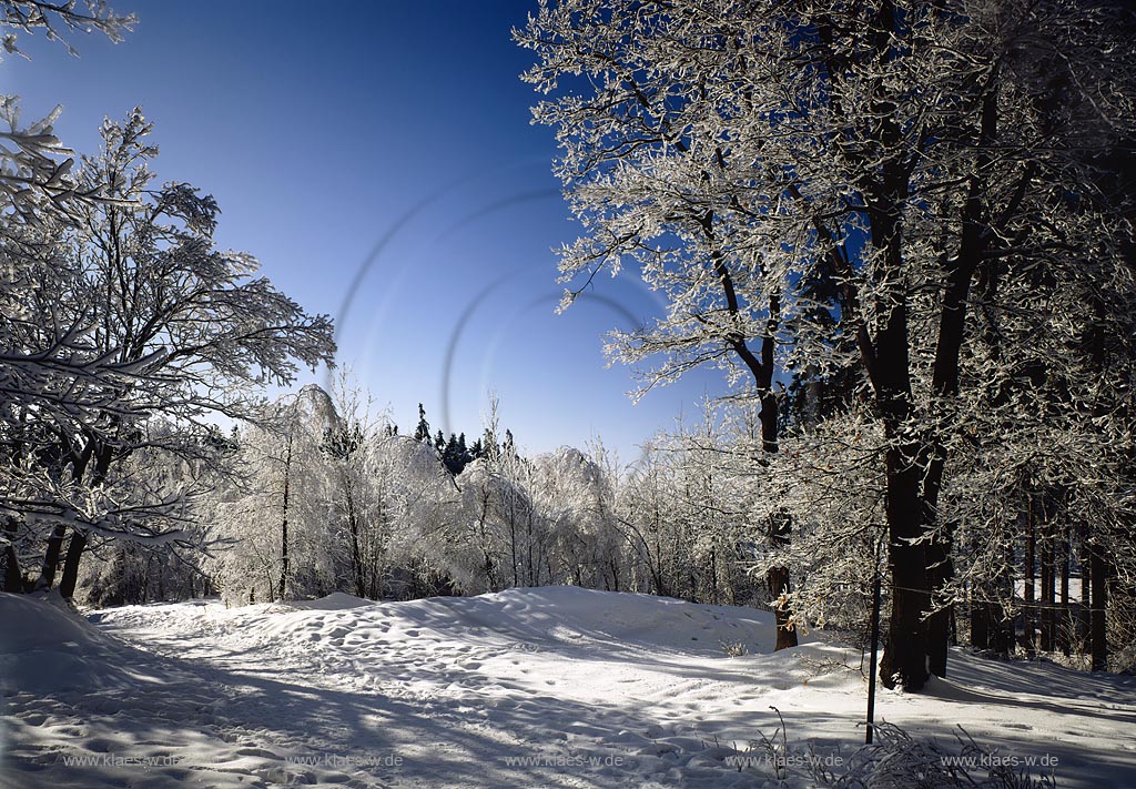Kindelsberg, Kreuztal, Kreis Siegen-Wittgenstein, Siegerland, Blick auf Winterlandschaft
