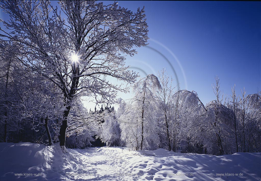 Kindelsberg, Kreuztal, Kreis Siegen-Wittgenstein, Siegerland, Blick auf Winterlandschaft