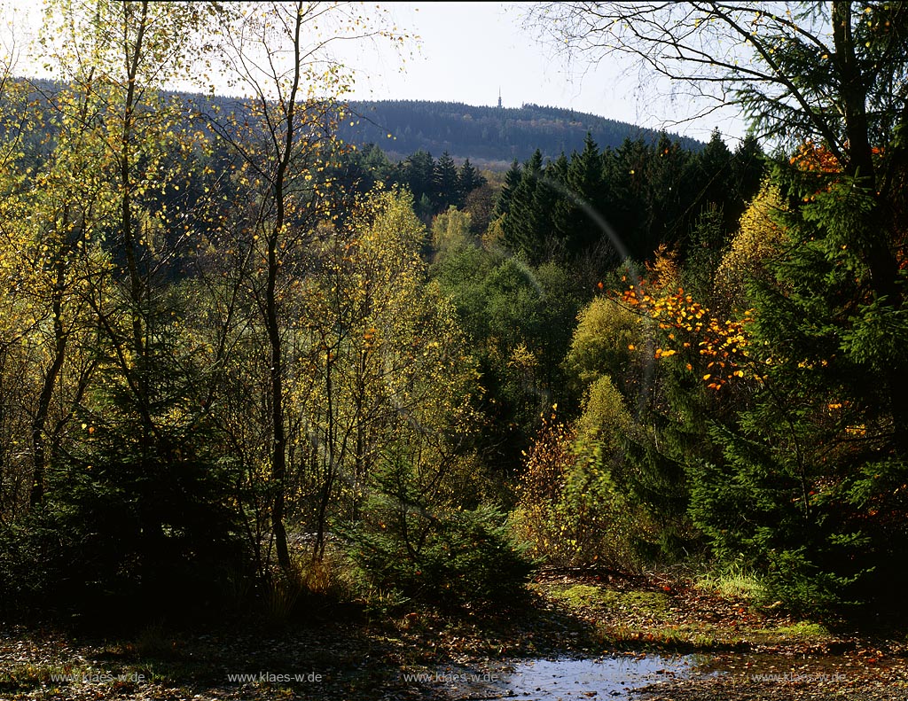 Littfeld, Kreuztal, Kindelsberg, Kreis Siegen-Wittgenstein, Siegerland, Blick zum Kindelsberg in Herbstlandschaft