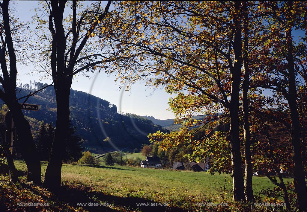 Sohlbach, Netphen, Kreis Siegen-Wittgenstein, Siegerland, Blick auf Herbstlandschaft mit Fachwerkhusern, Fachwerkhaeusern