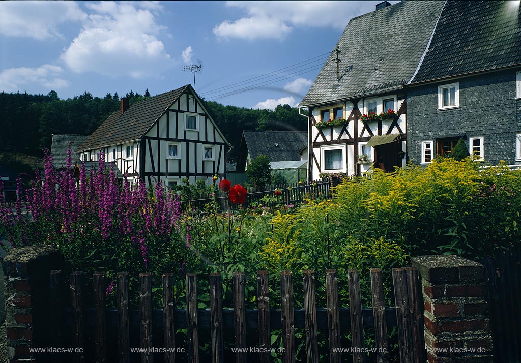 Netphen, Kreis Siegen-Wittgenstein, Siegerland, Blick auf Fachwerkhuser, Fachwerkhaeuser mit Blumengarten, Blumen Garten