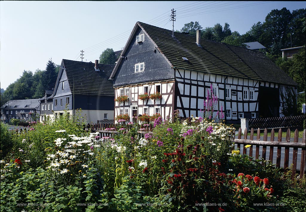 Eschenbach, Netphen, Kreis Siegen-Wittgenstein, Siegerland, Blick auf Fachwerkhuser, Fachwerkhaeuser und Blumengarten, Blumen Garten
