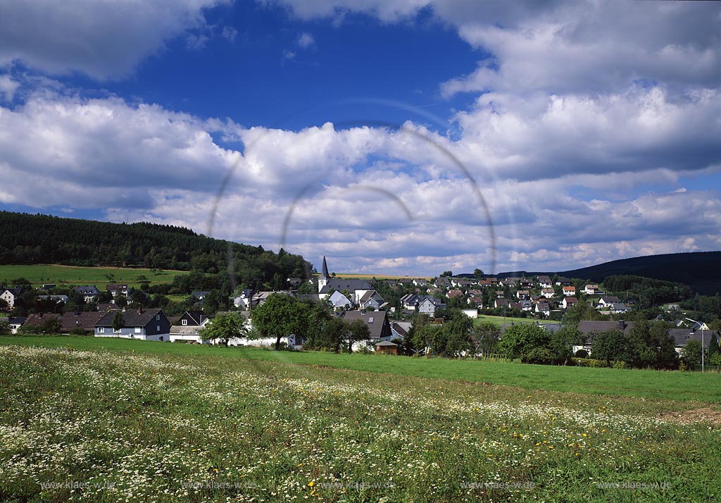 Irmgarteichen, Netphen, Kreis Siegen-Wittgenstein, Siegerland, Blick auf Ort mit Sommerlandschaft