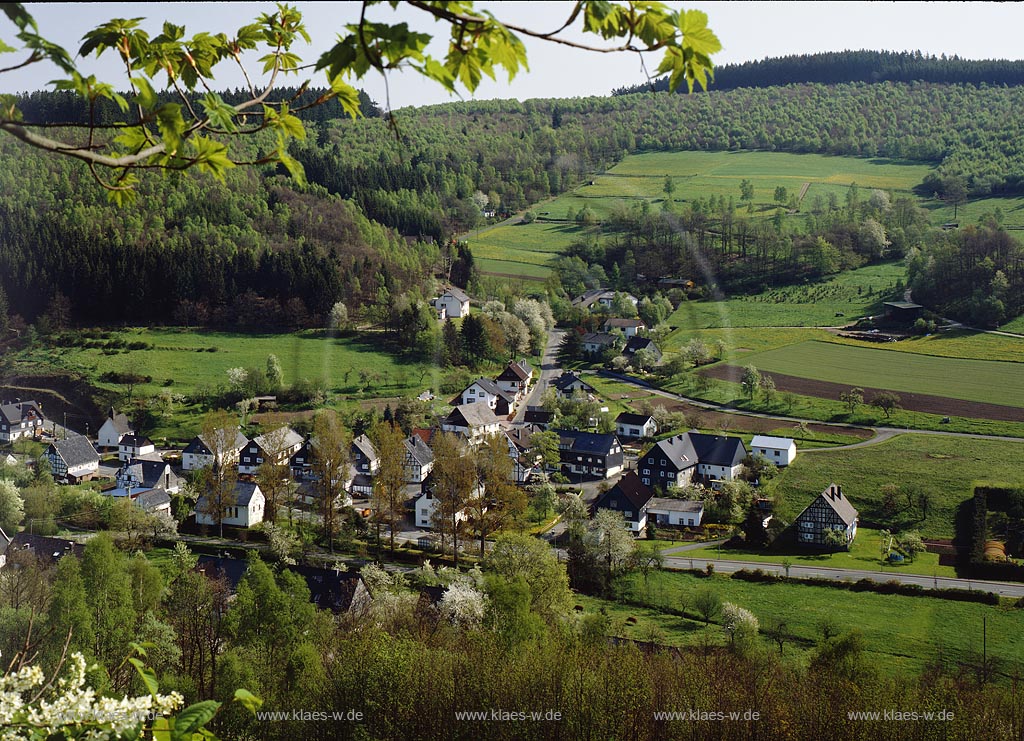 Nenkersdorf, Netphen, Kreis Siegen-Wittgenstein, Siegerland, Blick auf Ort und Landschaft im Sommer