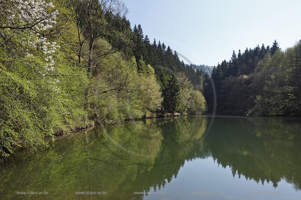 Netphen Sohlbach, Sohlbacher Weiher, Fruehlingslandschaft; Netphen Sohlbach, Sohlbach mere, pond in springtime