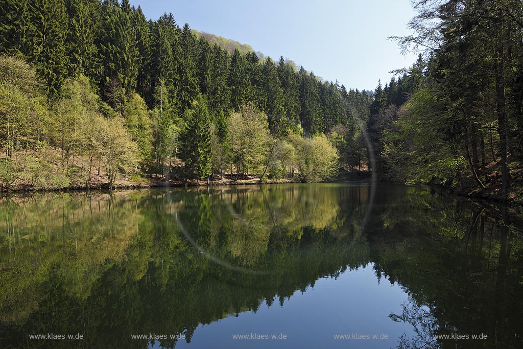 Netphen Sohlbach, Sohlbacher Weiher, Fruehlingslandschaft; Netphen Sohlbach, Sohlbach mere, pond in springtime