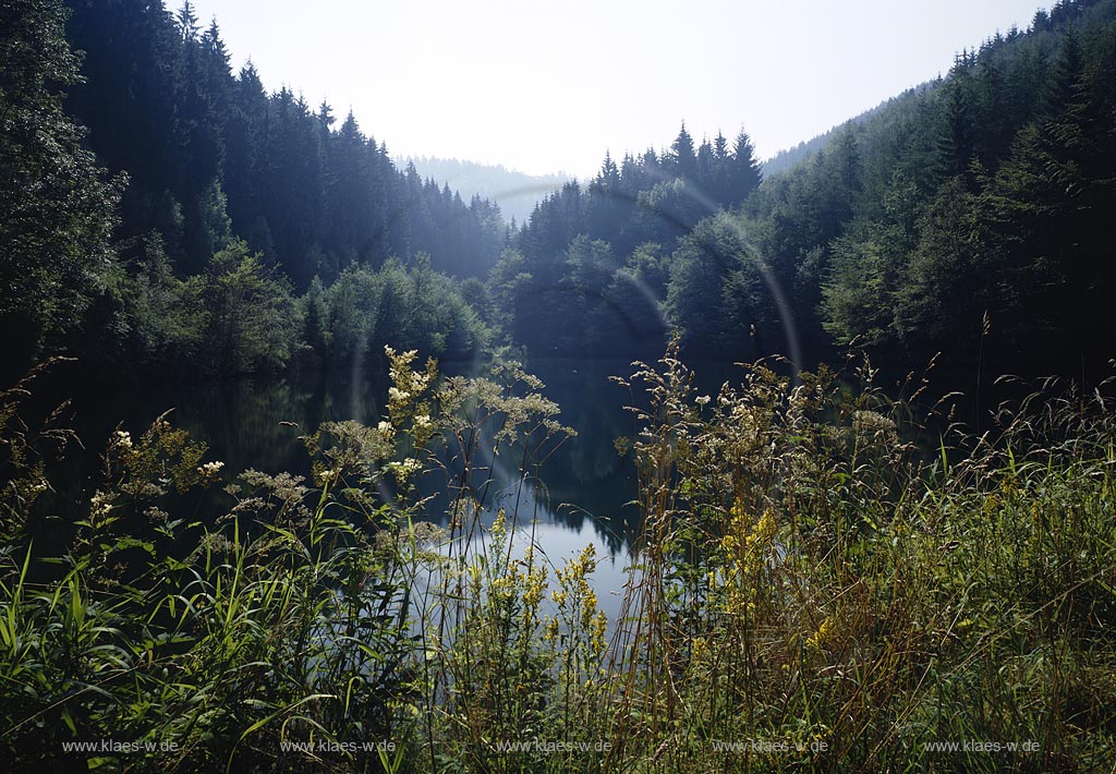Sohlbach, Netphen, Kreis Siegen-Wittgenstein, Siegerland, Blick auf Sohlbacher Weiher in Waldlandschaft