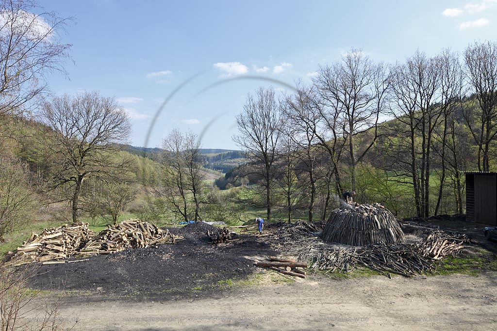 Netphen Walpersdorf, Kohlenmeiler Walpersdorf, einziger noch betriebener Kohlenmeiler im Siegerland. Die Koehlerei zur Herstellung von Holzkohle hat im Siegerland auf Grund der Eisenverhuettung eine lange Tradition; Netphan Walpersdorf traditional charcoal kiln in springtime landscape