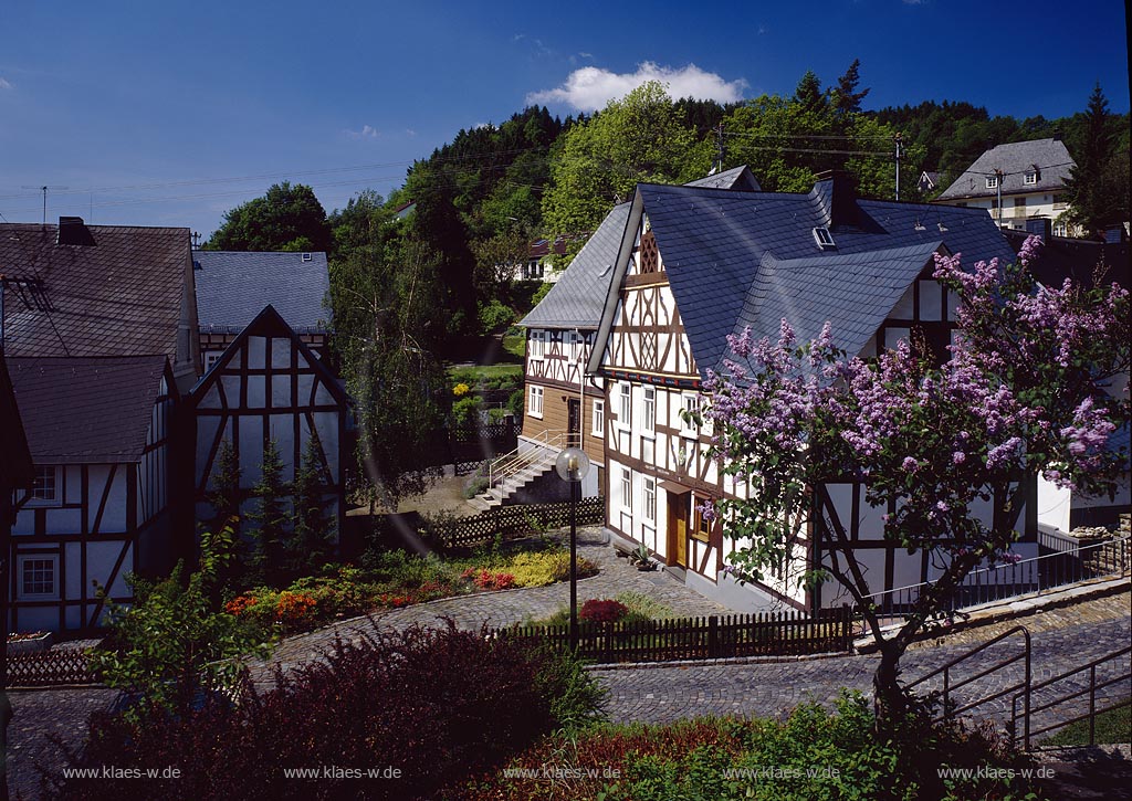 Neunkirchen, Kreis Siegen-Wittgenstein, Siegerland, Blick auf Fachwerkwinkel, Fachwerkhuser, Fachwerkhaeuser im Frhling, Fruehling
