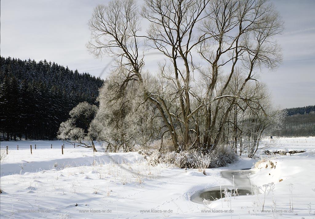 Wilden, Neunkirchen, Kreis Siegen-Wittgenstein, Siegerland, Blick auf vereisten Bachlauf bei Wilden in Winterlandschaft