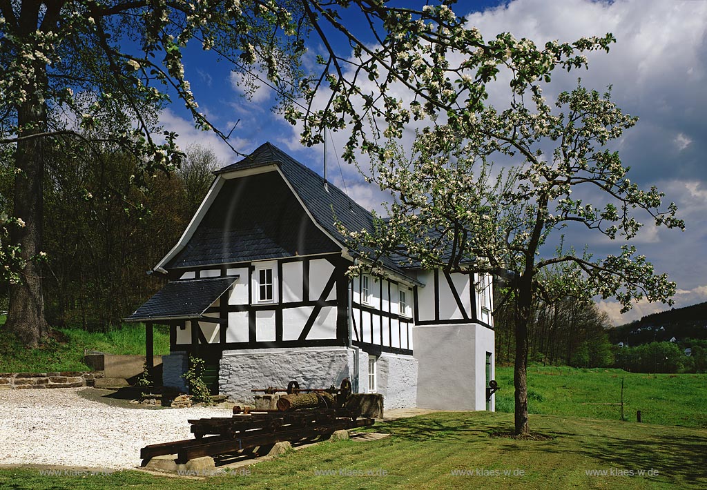 Niederdielfen, Wilnsdorf, Kreis Siegen-Wittgenstein, Siegerland, Blick auf Mhle, Muehle im Frhling, Fruehling