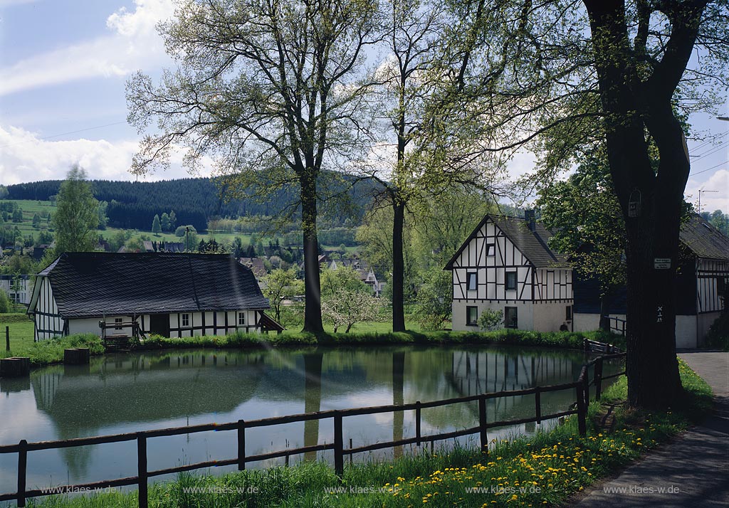 Niederdielfen, Wilnsdorf, Kreis Siegen-Wittgenstein, Siegerland, Blick auf Mhle, Muehle mit Teich