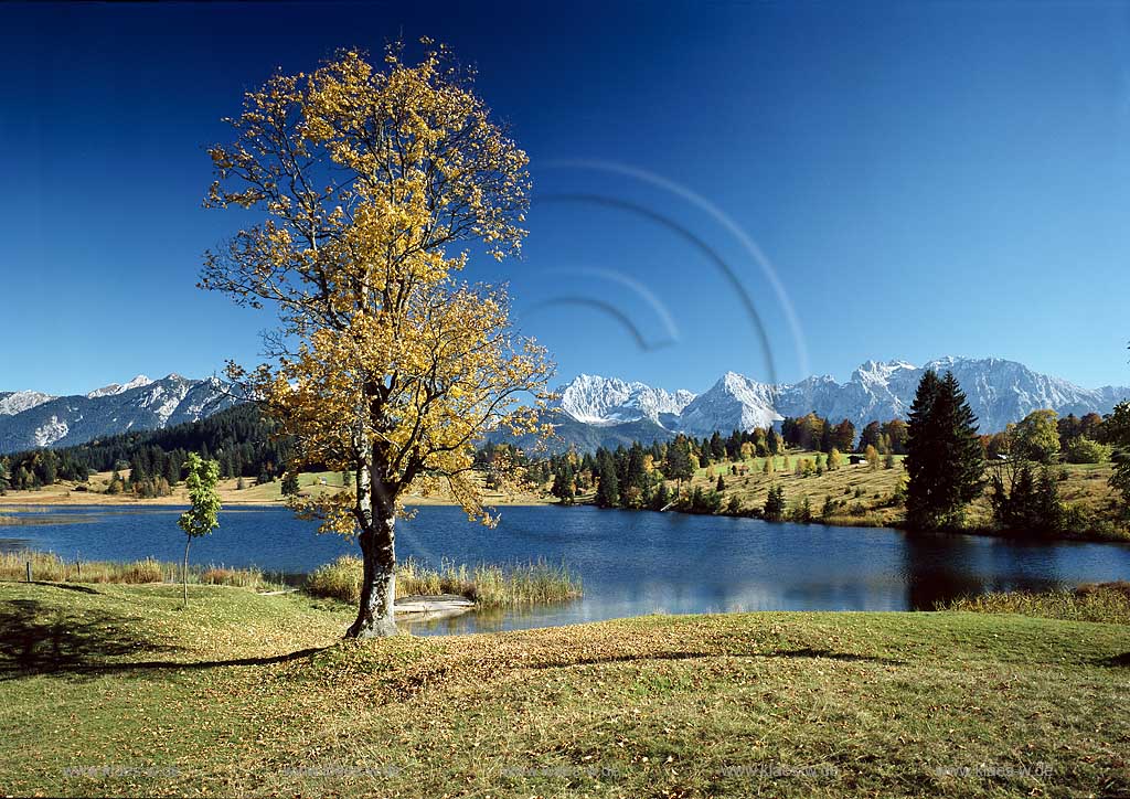 Geroldsee gegen Karwendel in Herbstlandschaft; Lake Geroldsee in autumn landscape with Karwendel rocks in the background 