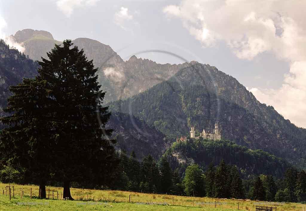 Schwangau, Hohenschwangau, Schwaebischer Landkreis Ostallgaeu, Regierungsbezirk Schwaben, Werdenfelser Land, Blick auf Landschaft und Berge mit Sicht auf Schloss Neuschwanstein