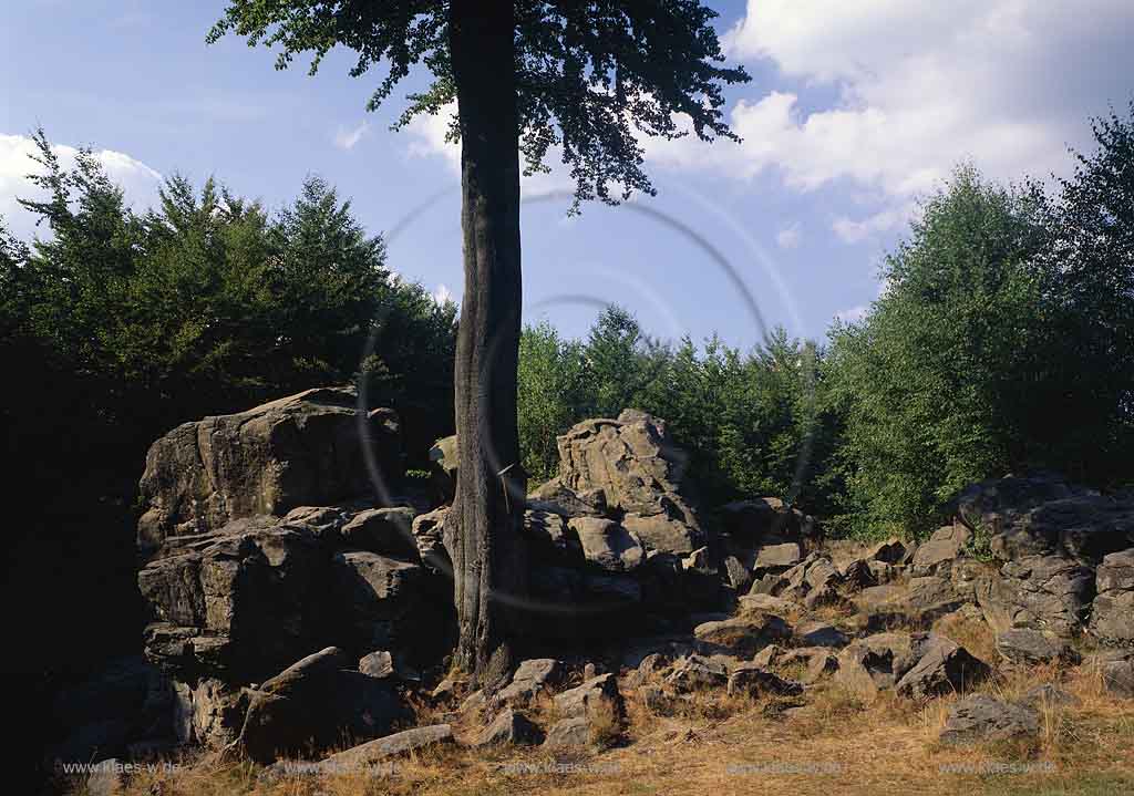 Bad Marienberg, Westerwaldkreis, Blick auf grosser, groer Wolfstein, Westerwald