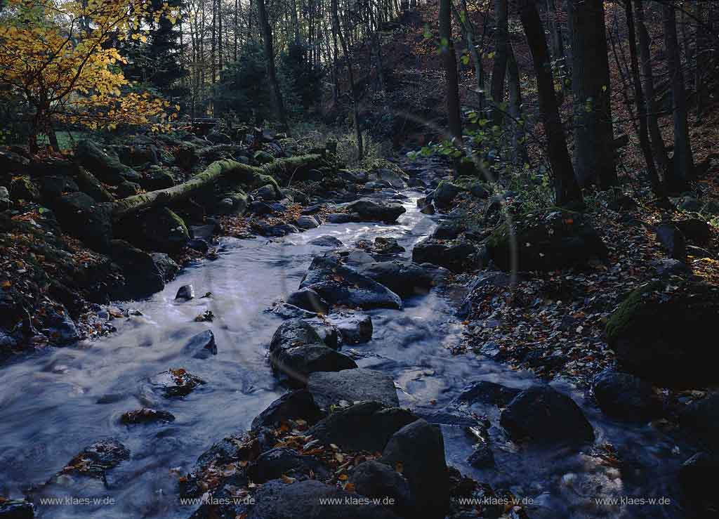 Gemnden, Gemuenden, Westerburg, Westerwaldkreis, Westerwald, Fuchskaute, Blick auf Holzbachschlucht