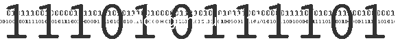 Rntgenlauf 2013